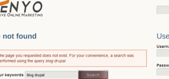 search 404